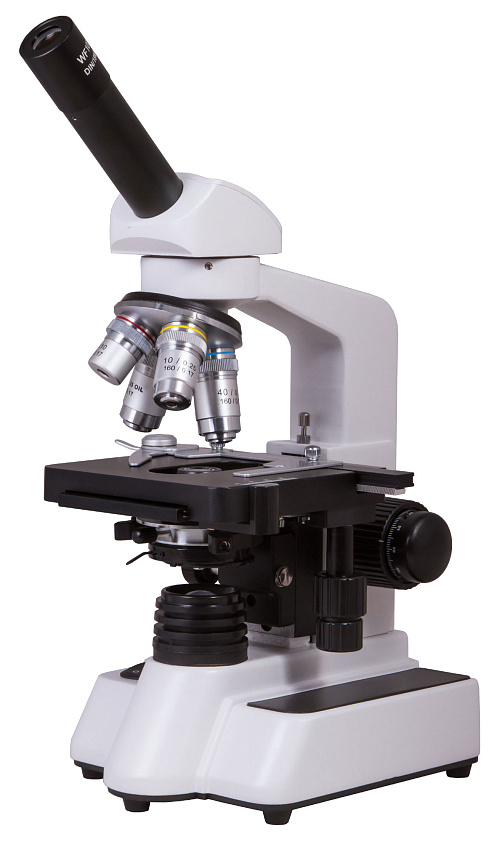 fotografia microscopio Bresser Erudit DLX 40–1000x