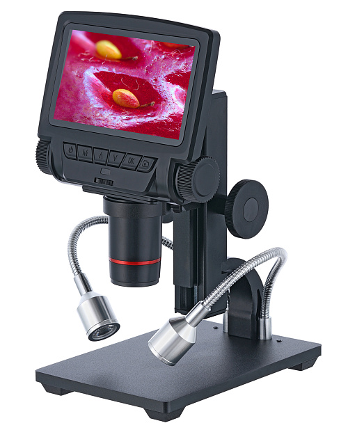 fotografia microscopio con telecomando Levenhuk DTX RC3